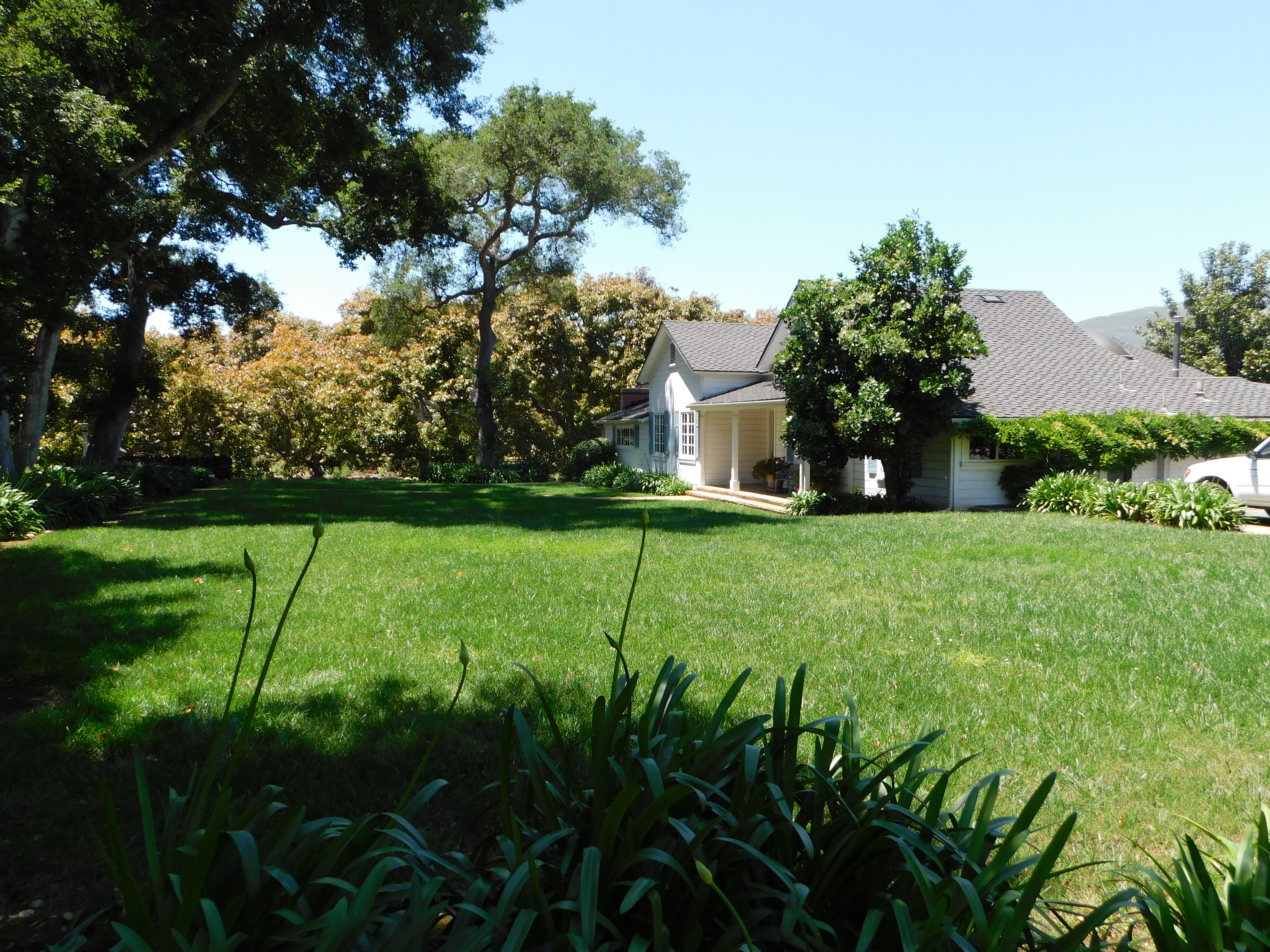 6200 Casitas Pass Rd, Carpinteria, ,House,For Rent,Casitas Pass Rd,1055