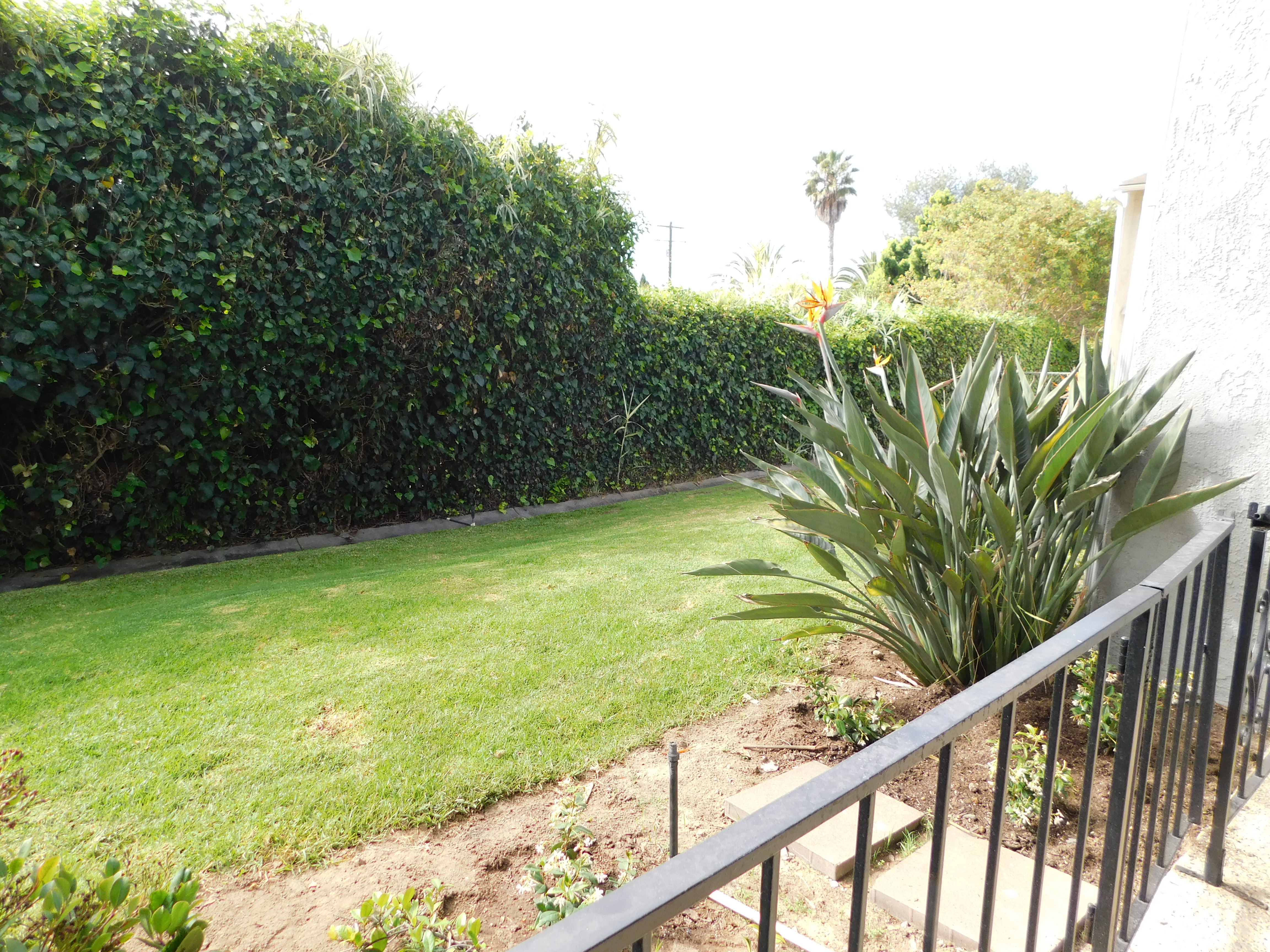 1510 Eucalyptus Hill Rd #A2, Santa Barbara, 1 Bedroom Bedrooms, 0 ,1 BathroomBathrooms,Apartment,For Rent,Kissing Point LLC,Eucalyptus Hill Rd #A2,0,1061